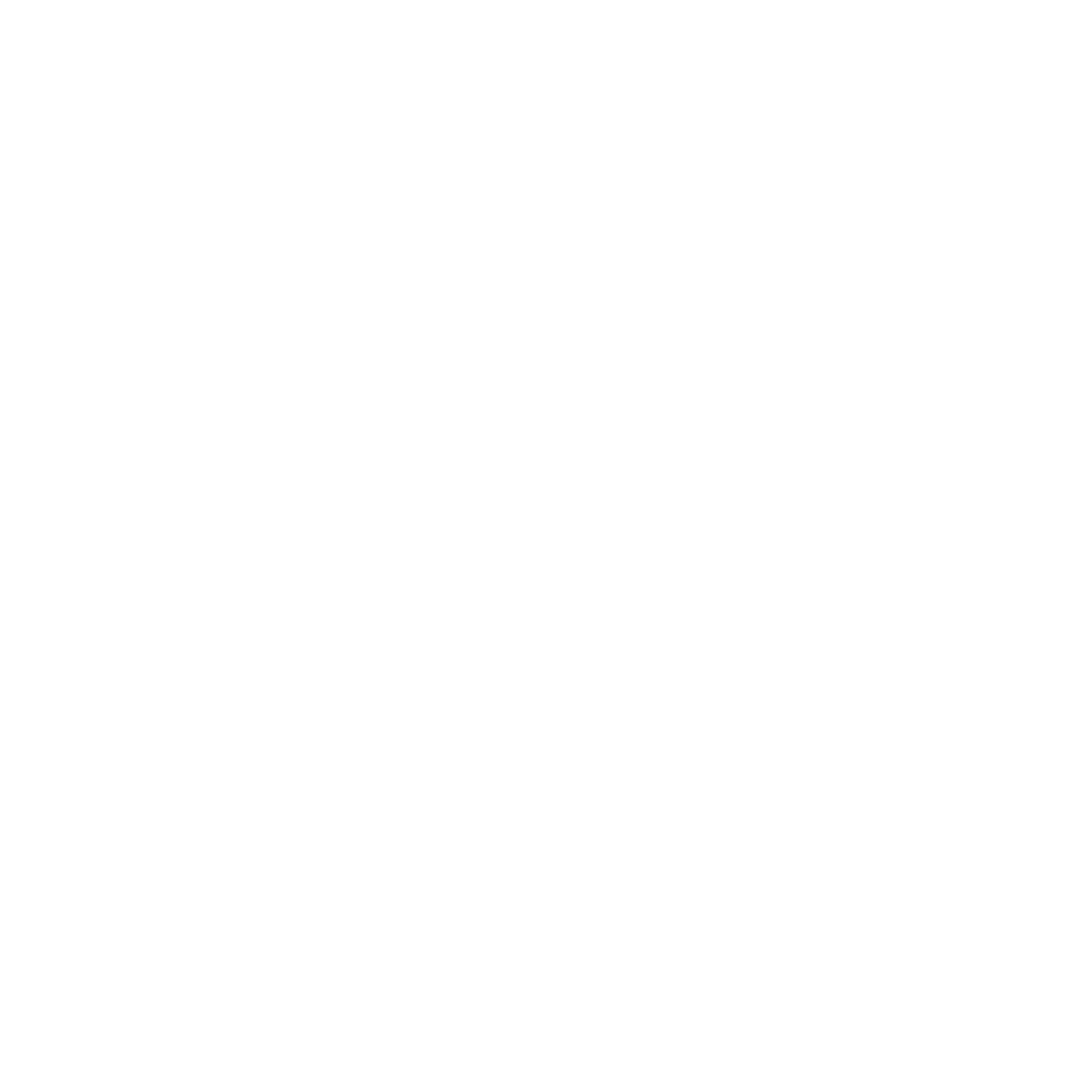 BFT Body Fit Training